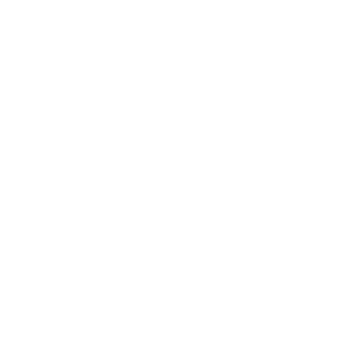 Orbitorus